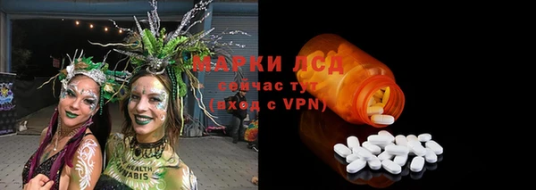 индика Алексеевка
