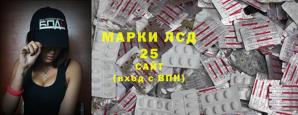 мяу мяу мука Абаза
