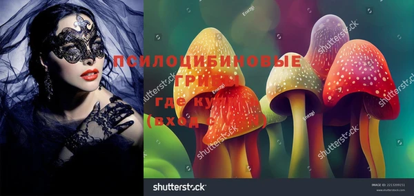 прущие крисы Алзамай