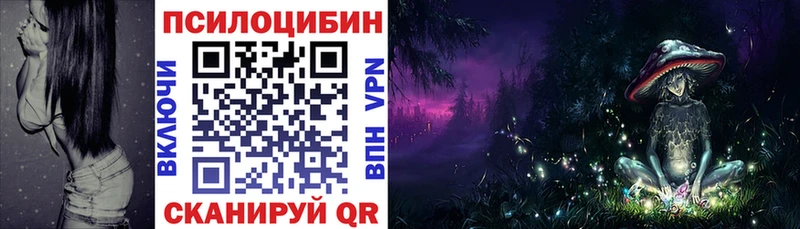 Галлюциногенные грибы Psilocybe  Лиски 